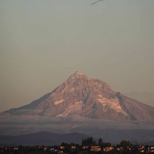 Meet your Posher, Alan